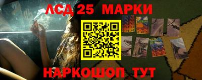 дмт Тара