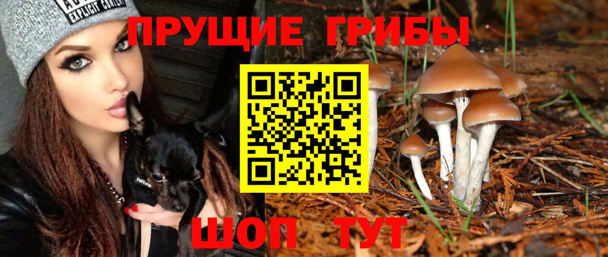 Псилоцибиновые грибы мухоморы Рославль